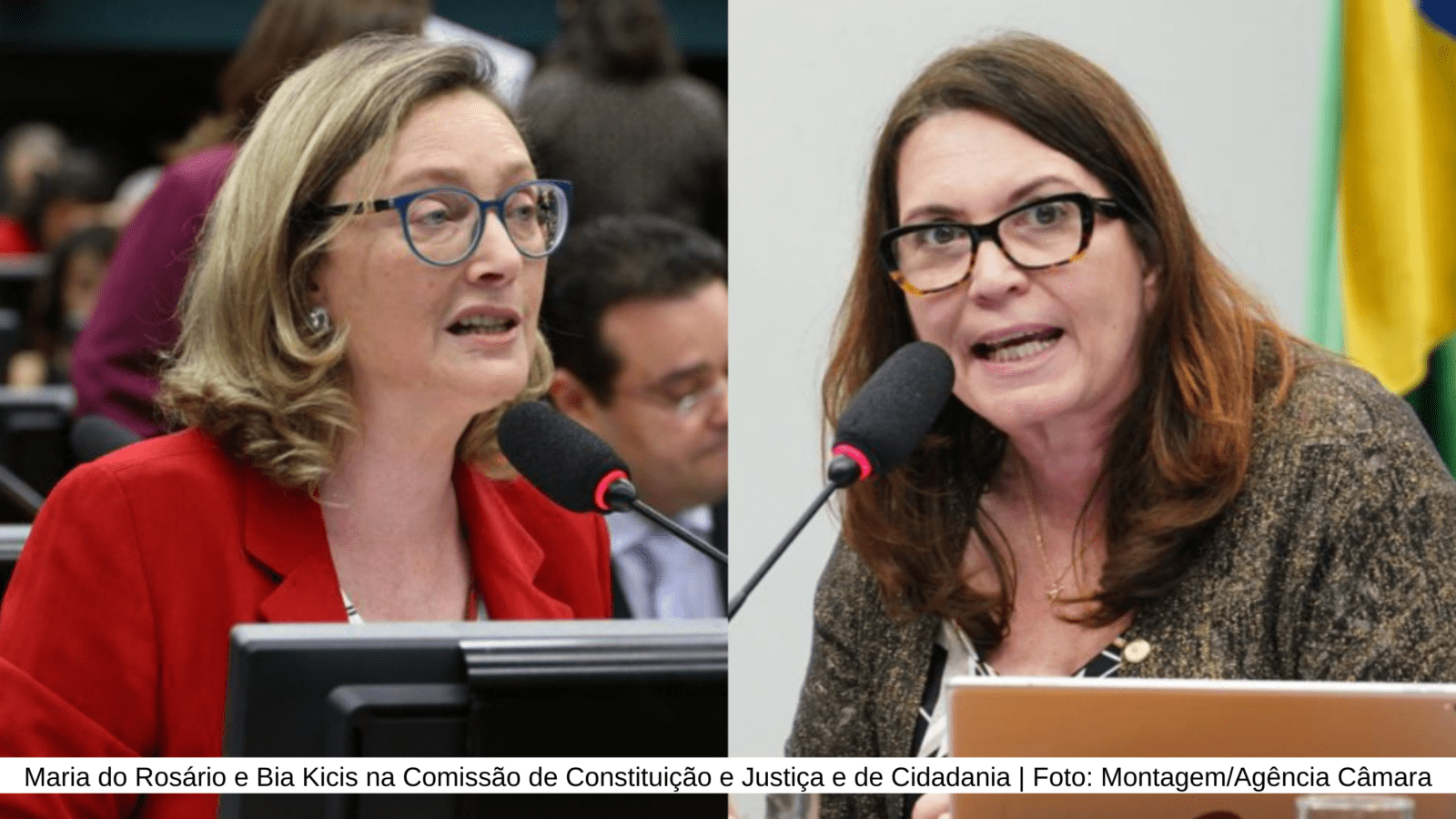Maria do Rosário e Bia Kicis na Comissão de Constituição e Justiça e de Cidadania | Foto: Montagem/Agência Câmara