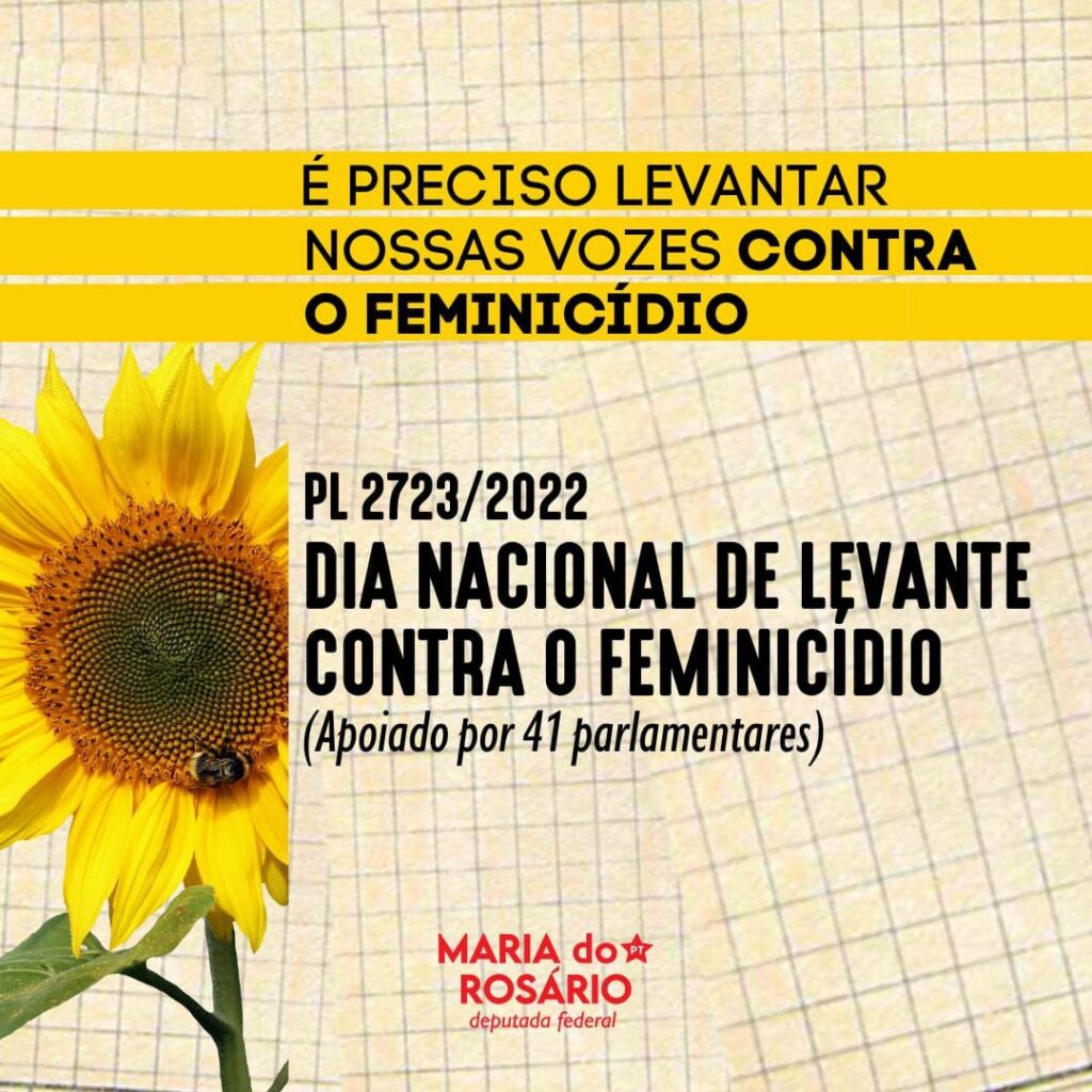 PL do Dia Nacional de Levante contra o Feminicídio 