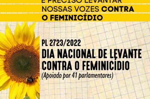 PL do Dia Nacional de Levante contra o Feminicídio